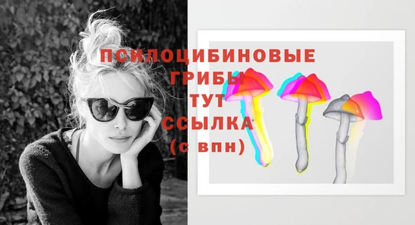 СК Пестово
