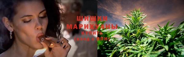 мяу мяу мука Абаза