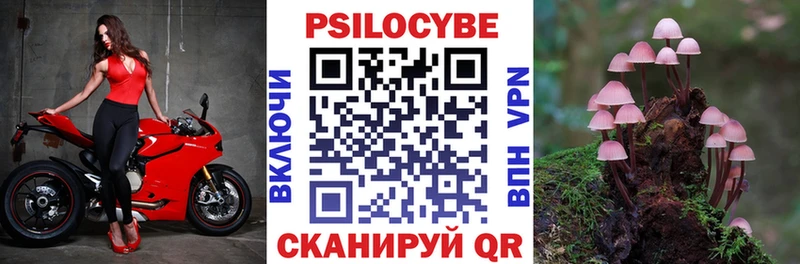 где купить наркоту  Костомукша  Псилоцибиновые грибы Cubensis 